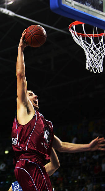 众的观赛体 众的观赛体